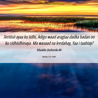 Picture 06 - Markos 5:31 SOM - Xertiisii ayaa ku tidhi, Adigu waad aragtaa dadka - Bible Verse Picture