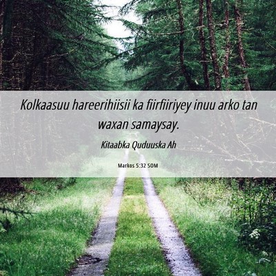 Picture 06 - Markos 5:32 SOM - Kolkaasuu hareerihiisii ka fiirfiiriyey inuu arko - Bible Verse Picture