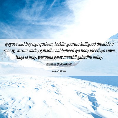 Picture 06 - Markos 5:40 SOM - Iyaguse aad bay ugu qosleen, laakiin goortuu - Bible Verse Picture
