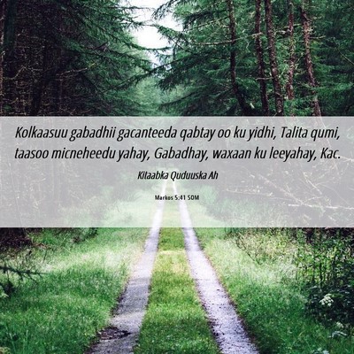 Picture 06 - Markos 5:41 SOM - Kolkaasuu gabadhii gacanteeda qabtay oo ku yidhi, - Bible Verse Picture