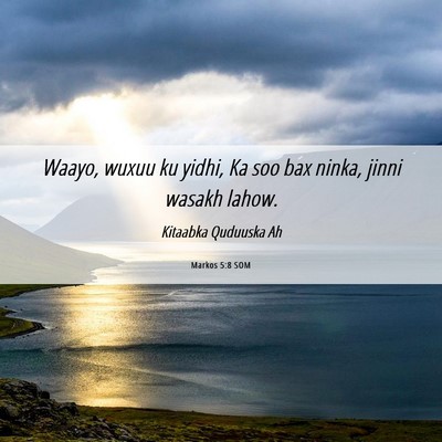 Picture 06 - Markos 5:8 SOM - Waayo, wuxuu ku yidhi, Ka soo bax ninka, jinni - Bible Verse Picture