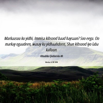 Picture 06 - Markos 6:38 SOM - Markaasuu ku yidhi, Immisa kibsood baad haysaan? - Bible Verse Picture