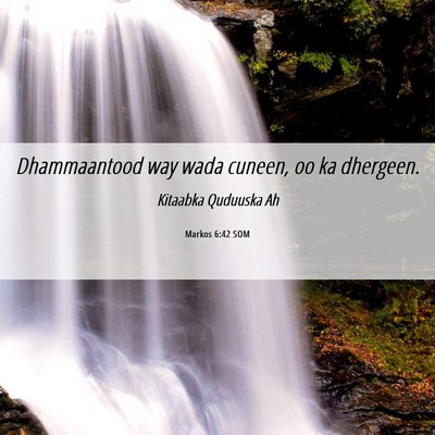 Picture 06 - Markos 6:42 SOM - Dhammaantood way wada cuneen, oo ka - Bible Verse Picture