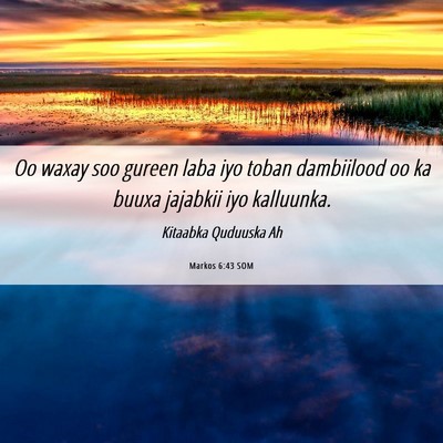 Picture 06 - Markos 6:43 SOM - Oo waxay soo gureen laba iyo toban dambiilood oo - Bible Verse Picture