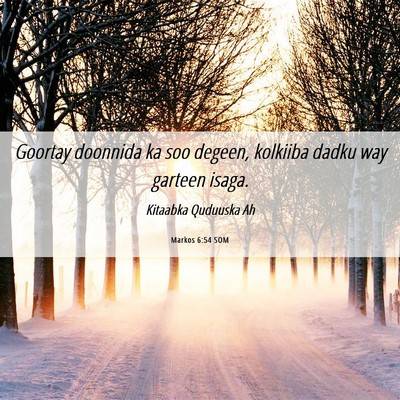 Picture 06 - Markos 6:54 SOM - Goortay doonnida ka soo degeen, kolkiiba dadku - Bible Verse Picture