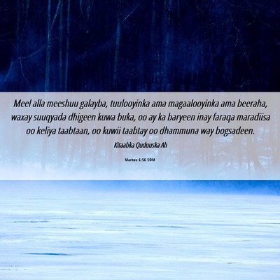 Picture 06 - Markos 6:56 SOM - Meel alla meeshuu galayba, tuulooyinka ama - Bible Verse Picture