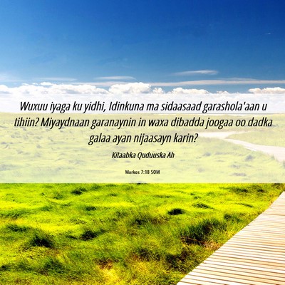 Picture 06 - Markos 7:18 SOM - Wuxuu iyaga ku yidhi, Idinkuna ma sidaasaad - Bible Verse Picture