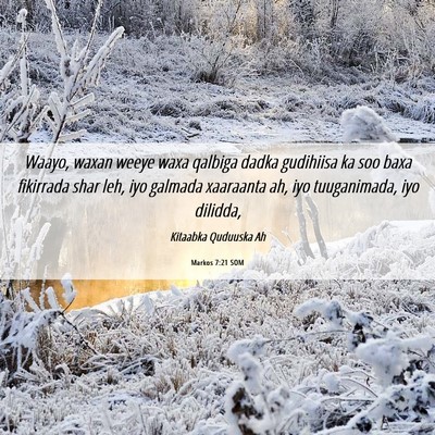 Picture 06 - Markos 7:21 SOM - Waayo, waxan weeye waxa qalbiga dadka gudihiisa - Bible Verse Picture