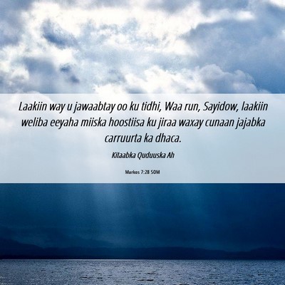 Picture 06 - Markos 7:28 SOM - Laakiin way u jawaabtay oo ku tidhi, Waa run, - Bible Verse Picture