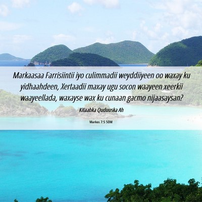 Picture 06 - Markos 7:5 SOM - Markaasaa Farrisiintii iyo culimmadii weyddiiyeen - Bible Verse Picture