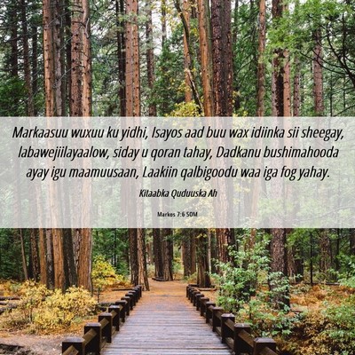 Picture 06 - Markos 7:6 SOM - Markaasuu wuxuu ku yidhi, Isayos aad buu wax - Bible Verse Picture