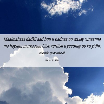 Picture 06 - Markos 8:1 SOM - Maalmahaas dadkii aad buu u badnaa oo waxay - Bible Verse Picture