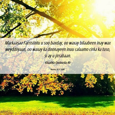 Picture 06 - Markos 8:11 SOM - Markaasaa Farrisiintu u soo baxday, oo waxay - Bible Verse Picture