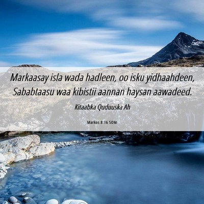 Picture 06 - Markos 8:16 SOM - Markaasay isla wada hadleen, oo isku yidhaahdeen, - Bible Verse Picture