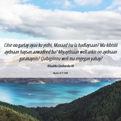 Picture 06 - Markos 8:17 SOM - Ciise oo gartay ayaa ku yidhi, Maxaad isu la - Bible Verse Picture