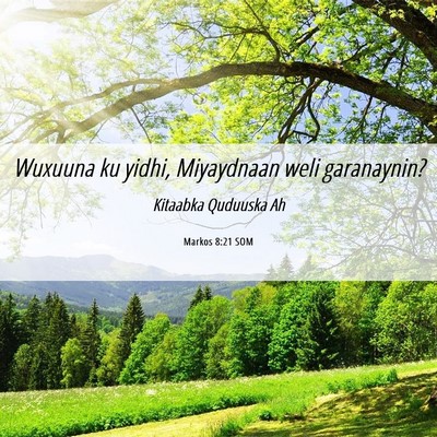 Picture 06 - Markos 8:21 SOM - Wuxuuna ku yidhi, Miyaydnaan weli - Bible Verse Picture