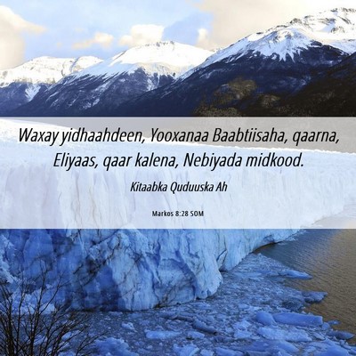 Picture 06 - Markos 8:28 SOM - Waxay yidhaahdeen, Yooxanaa Baabtiisaha, qaarna, - Bible Verse Picture