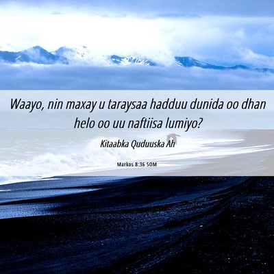 Picture 06 - Markos 8:36 SOM - Waayo, nin maxay u taraysaa hadduu dunida oo dhan - Bible Verse Picture