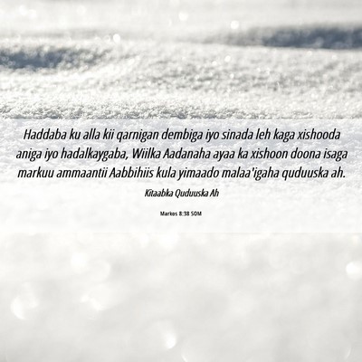 Picture 06 - Markos 8:38 SOM - Haddaba ku alla kii qarnigan dembiga iyo sinada - Bible Verse Picture
