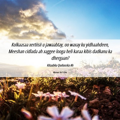 Picture 06 - Markos 8:4 SOM - Kolkaasaa xertiisii u jawaabtay, oo waxay ku - Bible Verse Picture