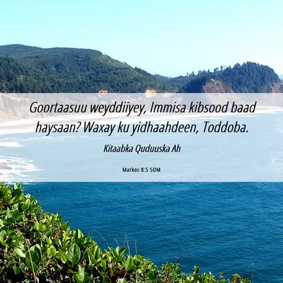 Picture 06 - Markos 8:5 SOM - Goortaasuu weyddiiyey, Immisa kibsood baad - Bible Verse Picture