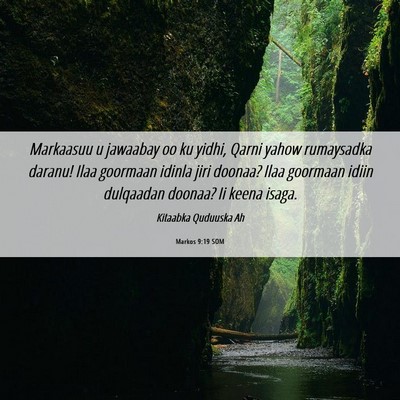 Picture 06 - Markos 9:19 SOM - Markaasuu u jawaabay oo ku yidhi, Qarni yahow - Bible Verse Picture