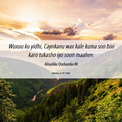 Picture 06 - Markos 9:29 SOM - Wuxuu ku yidhi, Caynkanu wax kale kuma soo bixi - Bible Verse Picture