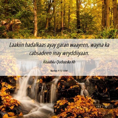 Picture 06 - Markos 9:32 SOM - Laakiin hadalkaas ayay garan waayeen, wayna ka - Bible Verse Picture
