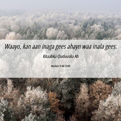 Picture 06 - Markos 9:40 SOM - Waayo, kan aan inaga gees ahayn waa inala - Bible Verse Picture