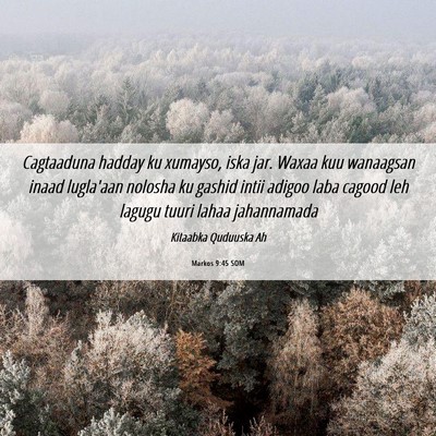 Picture 06 - Markos 9:45 SOM - Cagtaaduna hadday ku xumayso, iska jar. Waxaa kuu - Bible Verse Picture