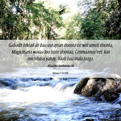 Picture 06 - Matayos 1:23 SOM - Gabadh bikrad ah baa uuraysan doonta oo wiil - Bible Verse Picture
