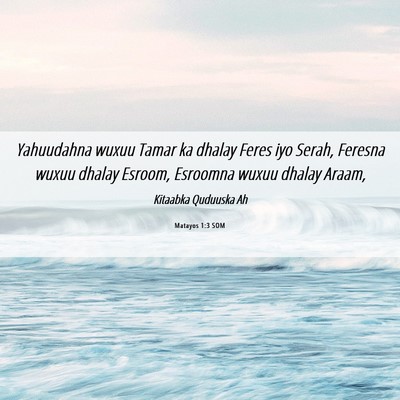 Picture 06 - Matayos 1:3 SOM - Yahuudahna wuxuu Tamar ka dhalay Feres iyo Serah, - Bible Verse Picture