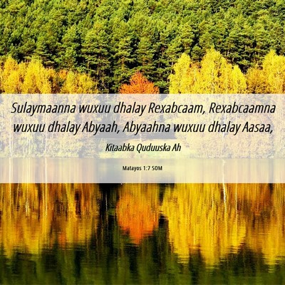 Picture 06 - Matayos 1:7 SOM - Sulaymaanna wuxuu dhalay Rexabcaam, Rexabcaamna - Bible Verse Picture