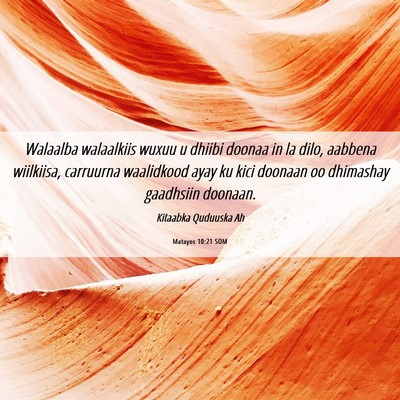 Picture 06 - Matayos 10:21 SOM - Walaalba walaalkiis wuxuu u dhiibi doonaa in la - Bible Verse Picture