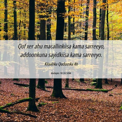 Picture 06 - Matayos 10:24 SOM - Qof xer ahu macallinkiisa kama sarreeyo, - Bible Verse Picture
