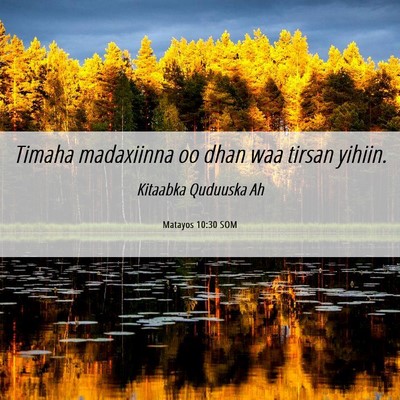 Picture 06 - Matayos 10:30 SOM - Timaha madaxiinna oo dhan waa tirsan - Bible Verse Picture