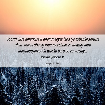 Picture 06 - Matayos 11:1 SOM - Goortii Ciise amarkiisa u dhammeeyey laba iyo - Bible Verse Picture