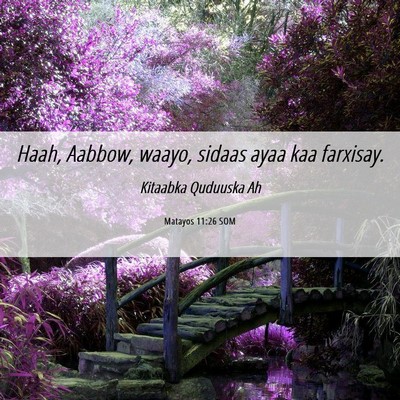 Picture 06 - Matayos 11:26 SOM - Haah, Aabbow, waayo, sidaas ayaa kaa - Bible Verse Picture
