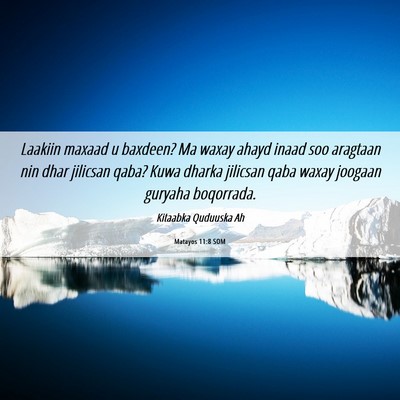 Picture 06 - Matayos 11:8 SOM - Laakiin maxaad u baxdeen? Ma waxay ahayd inaad - Bible Verse Picture