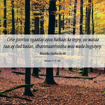 Picture 06 - Matayos 12:15 SOM - Ciise goortuu ogaaday ayuu halkaas ka tegey, oo - Bible Verse Picture