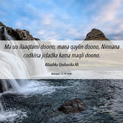 Picture 06 - Matayos 12:19 SOM - Ma uu ilaaqtami doono, mana qaylin doono, Ninnana - Bible Verse Picture