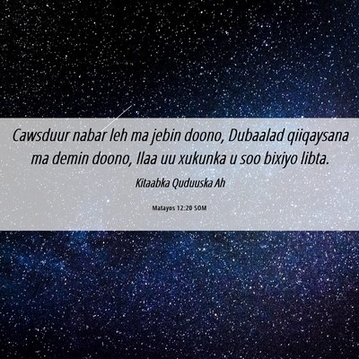 Picture 06 - Matayos 12:20 SOM - Cawsduur nabar leh ma jebin doono, Dubaalad - Bible Verse Picture