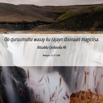 Picture 06 - Matayos 12:21 SOM - Oo quruumuhu waxay ku rajayn doonaan - Bible Verse Picture