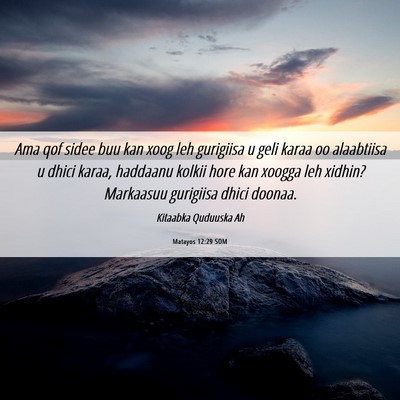 Picture 06 - Matayos 12:29 SOM - Ama qof sidee buu kan xoog leh gurigiisa u geli - Bible Verse Picture