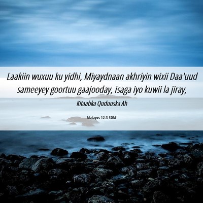 Picture 06 - Matayos 12:3 SOM - Laakiin wuxuu ku yidhi, Miyaydnaan akhriyin wixii - Bible Verse Picture