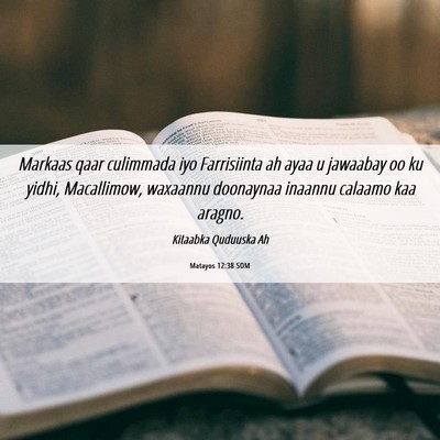 Picture 06 - Matayos 12:38 SOM - Markaas qaar culimmada iyo Farrisiinta ah ayaa u - Bible Verse Picture