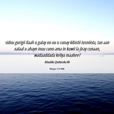 Picture 06 - Matayos 12:4 SOM - siduu gurigii Ilaah u galay oo uu u cunay - Bible Verse Picture