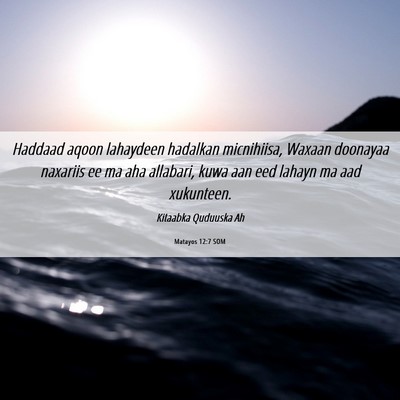 Picture 06 - Matayos 12:7 SOM - Haddaad aqoon lahaydeen hadalkan micnihiisa, - Bible Verse Picture
