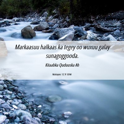 Picture 06 - Matayos 12:9 SOM - Markaasuu halkaas ka tegey oo wuxuu galay - Bible Verse Picture