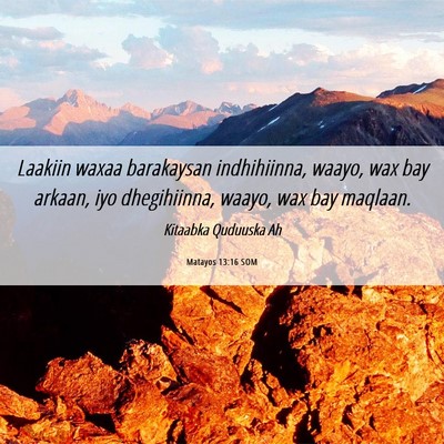 Picture 06 - Matayos 13:16 SOM - Laakiin waxaa barakaysan indhihiinna, waayo, wax - Bible Verse Picture